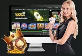6789sun live betting cá cược trực tiếp